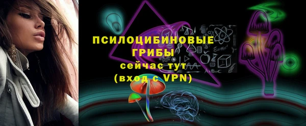2c-b Кукмор
