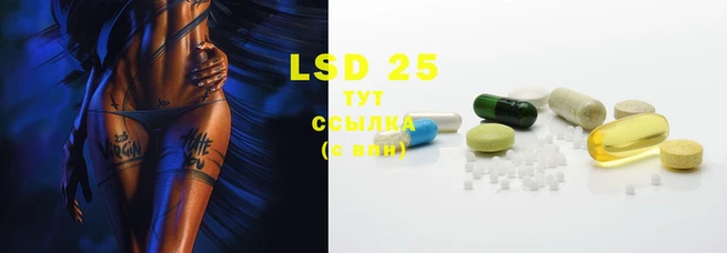 2c-b Кукмор