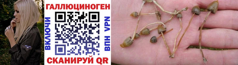 Галлюциногенные грибы MAGIC MUSHROOMS  Купить  Арсеньев 